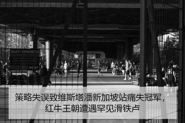ce-lve-shi-wu-zhi-wei-si-ta-pan-xin-jia-po-zhan-tong-shi-guan-jun-hong-niu-wang-chao-zao-yu-han-jian-hua-tie-lu-2-724.jpg